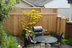 Beacon Hill fence 2