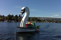 Lullaby Moon Swan